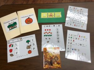 This is a picture of a completed adapted book and activities