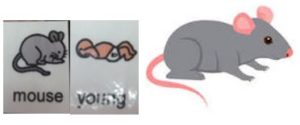 This is a picture of picture symbols