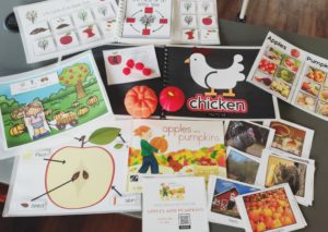Book kit contents for an apple-themed book